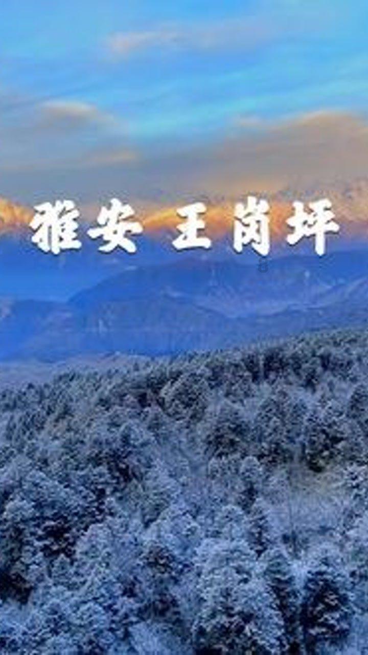 复仇之路